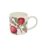 rhs fruits mug showing red fruit with leaves against a white background