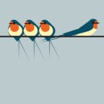 swallows on a line greetings card with birds against a duck egg blue background