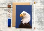 greetings card showing head of an eagle plus a pencil and eraser