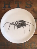 spider plate