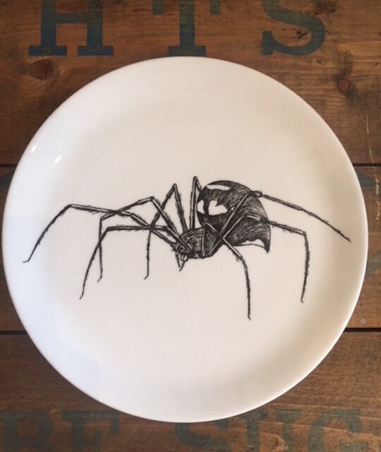 spider plate