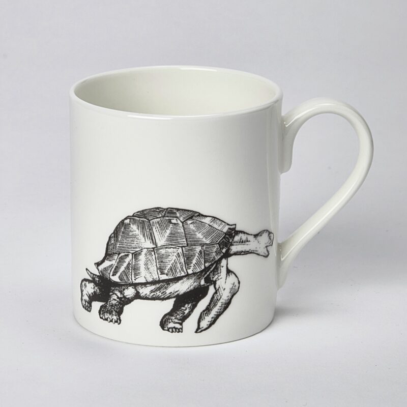 tortoise mug