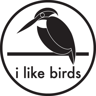 I a bird перевод