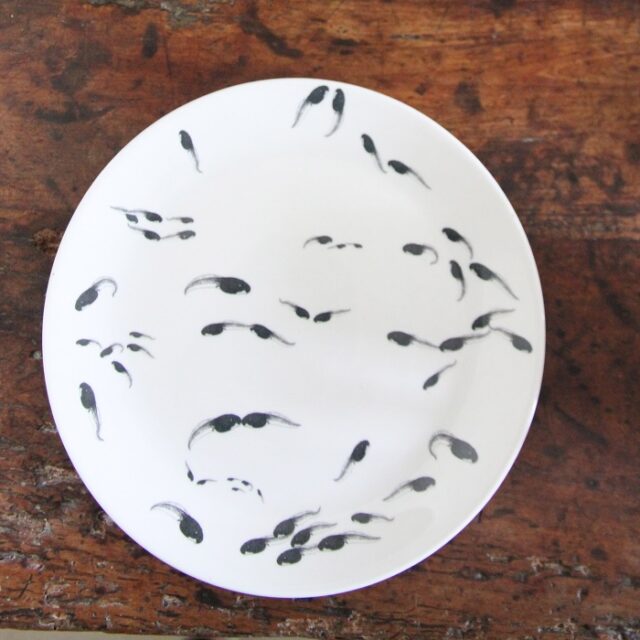 tadpoles plate