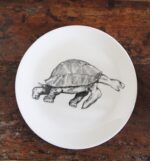 tortoise plate