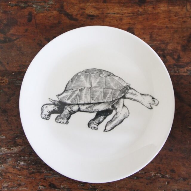 tortoise plate