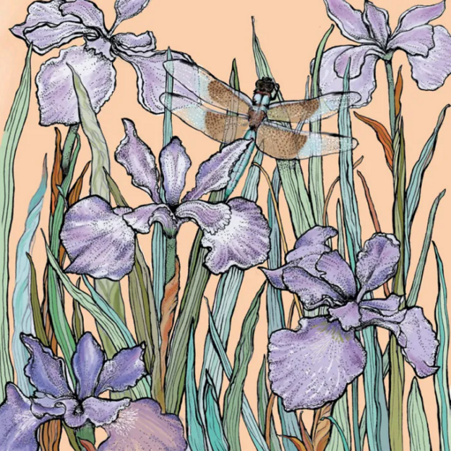 Dragonfly and Bearded Iris Print by Fay's Studio