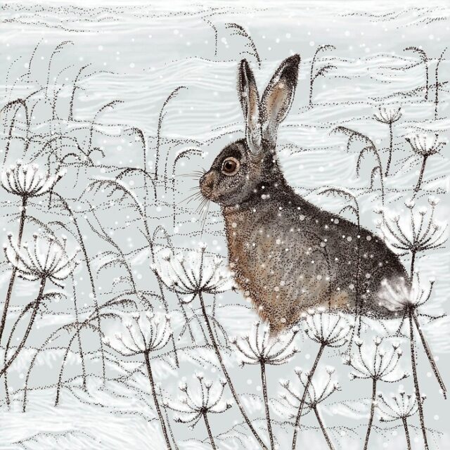 hare greetings card by Fay's Studio showing a dark hare facing left against a snowy field