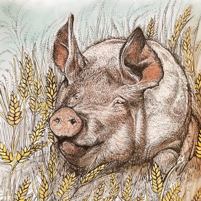 Pig and Wheat Print by Fay's Studio