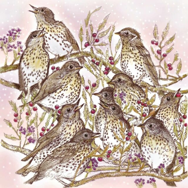 song thrush greetings card by fay's studio showing ten thrushes nestled together in a bush with berries