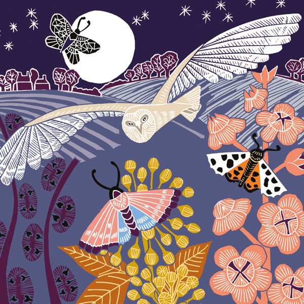 owl at night card shows barn owl with wings outspread against night sky with moths