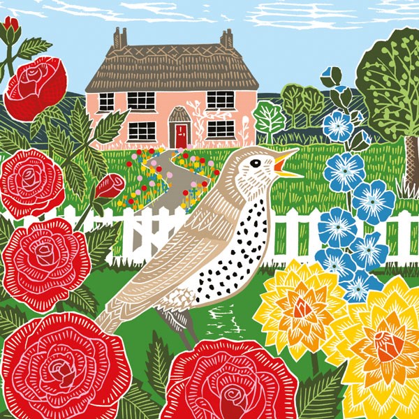 thrush singing with roses to left and a cottage behind