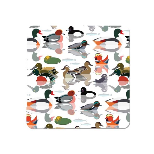 ducks placemats