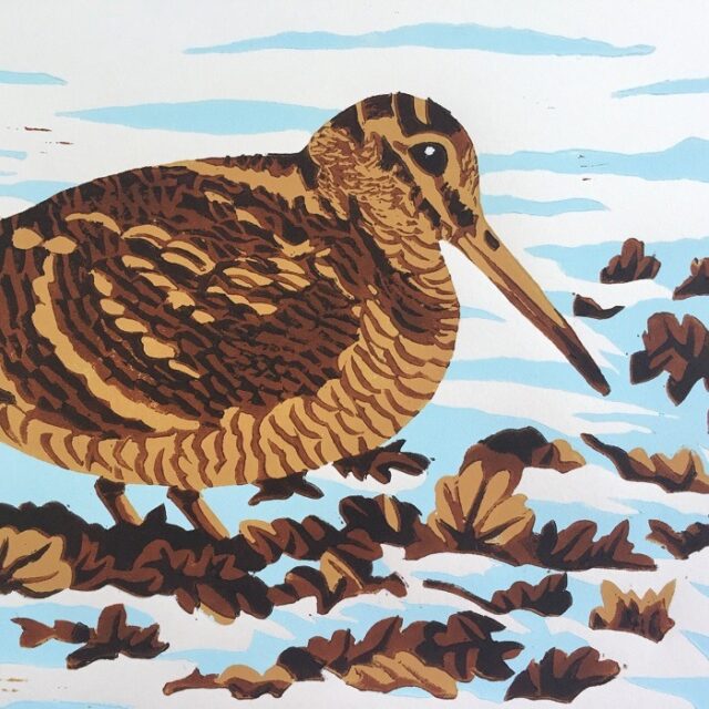 Woodcock linocut print shows the bird in brown with long beak and feet in foliage