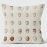 rows of eggs cushion shows thirty small eggs in muted shades of blue and brown against a neutral background