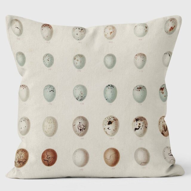 rows of eggs cushion shows thirty small eggs in muted shades of blue and brown against a neutral background