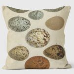 speckled eggs cushion shows large speckled eggs in muted blues and browns against a neutral background