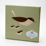 olive green thrush platter box showing brown and cream bird with chicks