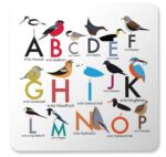 birds alphabet placemats showing A to P of alphabet each letter illustrated by a bird