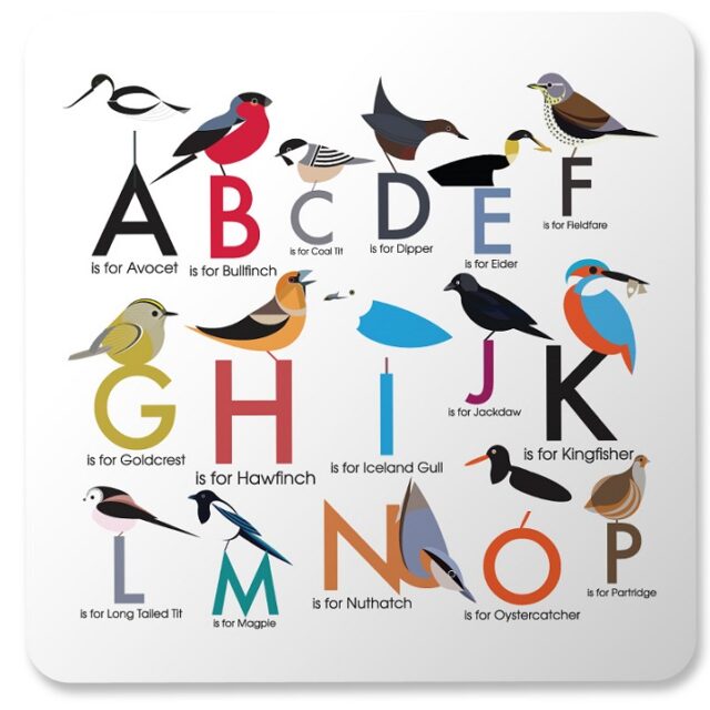 birds alphabet placemats showing A to P of alphabet each letter illustrated by a bird