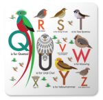 Birds alphabet placemats showing Q to Z of alphabet each letter illustrated by a bird