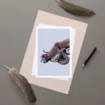 octopus mouth showing suckers against a pale blue background with feathers on table