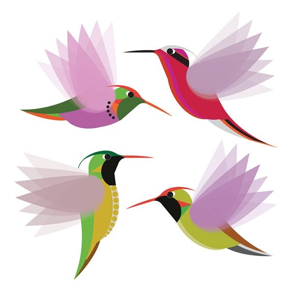 four colourful hummingbirds are shown in profile in red, pink, green and mauve against a white background