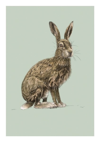 Painting of a hare against a sage green background