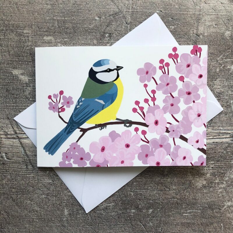 blue tit and pink cherry blossom against a white background