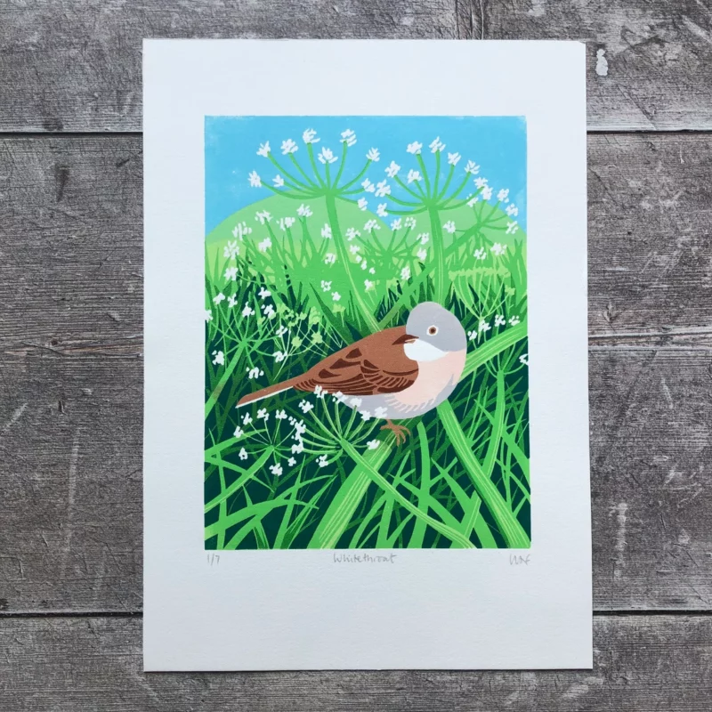 small brown and white bird perched on grass with plants and sky behind