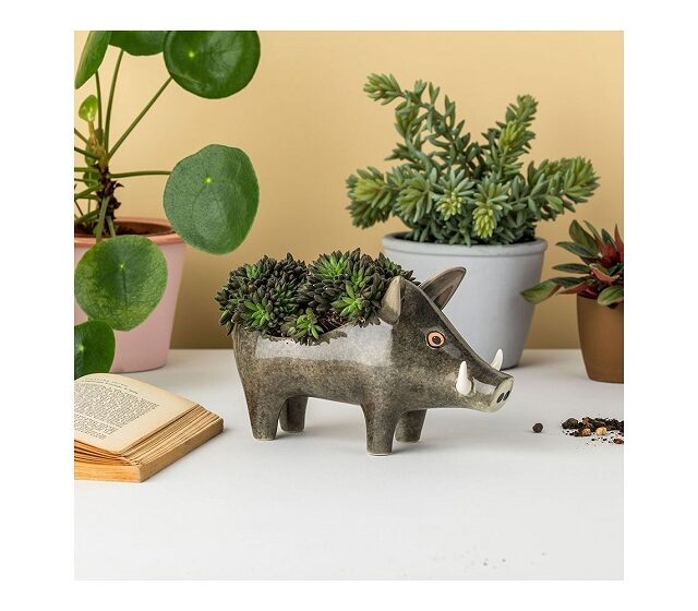 grey plant holder in shape of wild boar with green plants in