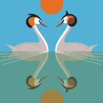 great crested grebe greetings card shows two birds on water opposite each other with the sun behind