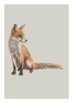 red fox greetings card by ben rothery shows the orange and white fox sitting looking to the right