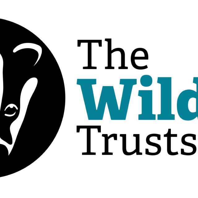 shows a badger and the words the wildlife trusts