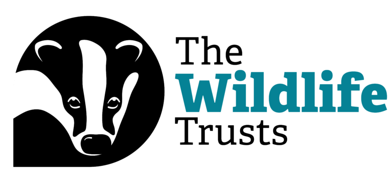 shows a badger and the words the wildlife trusts