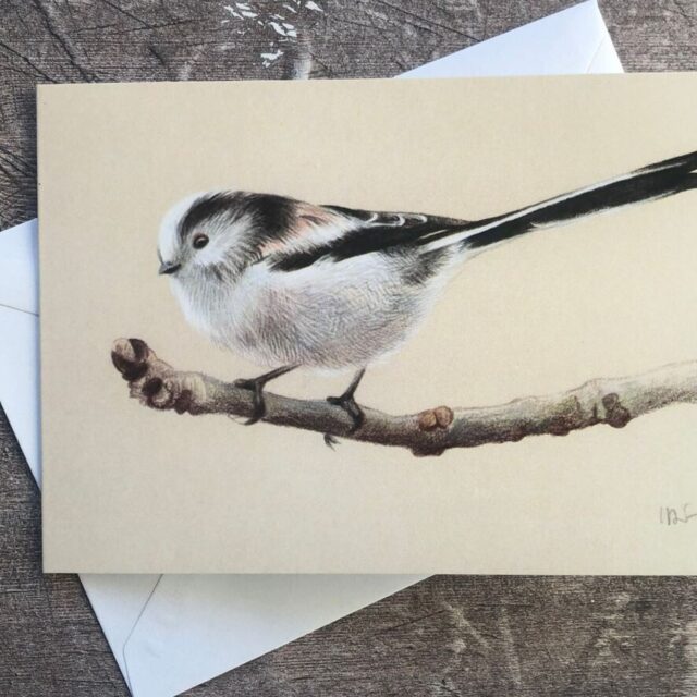 Long tailed tits beige card shows the small black and white bird on a twig against a beige background