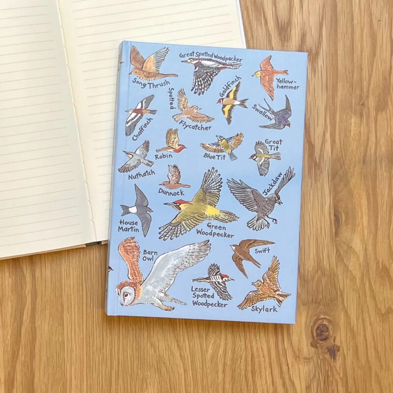 Blue book with pictures of birds on British Birds Notebook
