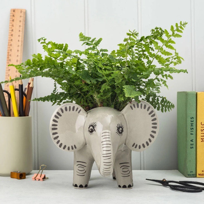 grey ceramic elephant plant holder with a fern