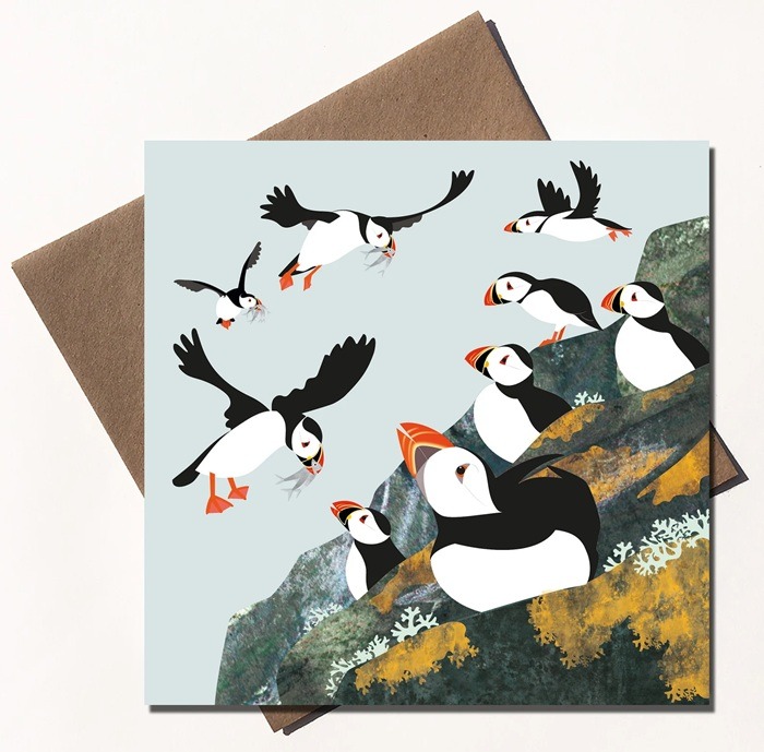 CS005 Puffins 700