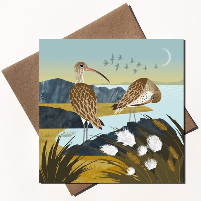 Curlew and cotton grass greetings card by Rachel Hudson shows two brown birds one with a long curved bill standing at the waters edge with white cotton grass