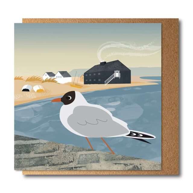Black headed Gull Greetings Card by Rachel Hudson shows a gull side on standing on the seashore with small houses behind