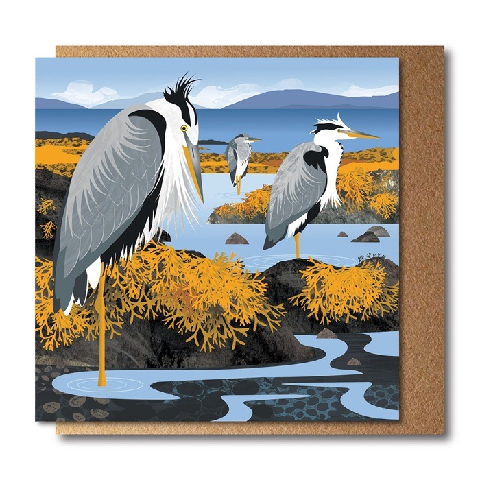 Herons by the sea Greetings Card by Rachel Hudson shows several grey herons standing on one leg in shallow rock pools
