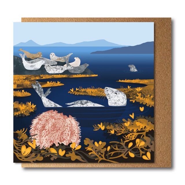 Seals and Sea Urchin Greetings Card by Rachel Hudson shows grey seals basking on rocks and swimming in rock pools with a pink sea urchin to the fore