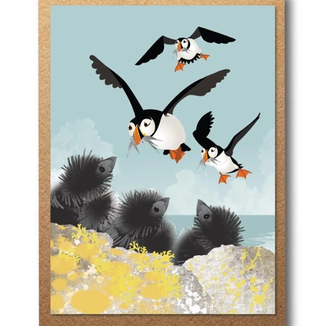 Puffins and Pufflings Greetings Card by Rachel Hudson shows three adult puffins returning to their clifftop nest to feed their fluffy black puffling chicks