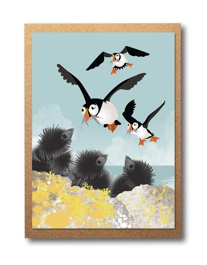 Puffins and Pufflings Greetings Card by Rachel Hudson shows three adult puffins returning to their clifftop nest to feed their fluffy black puffling chicks