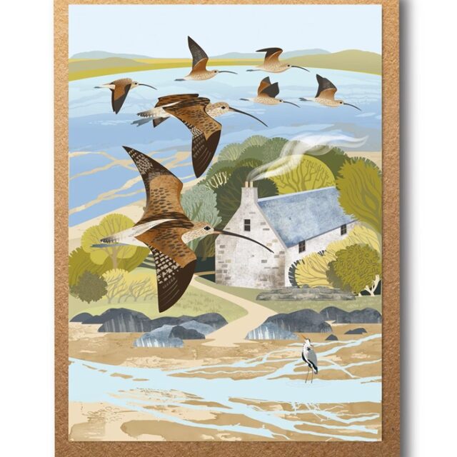 Curlews Loch Crinan Greetings Card by Rachel Hudson shows a flock of curlews with long curved bills flying over a cottage with the sea behind and an estuary or stream in front