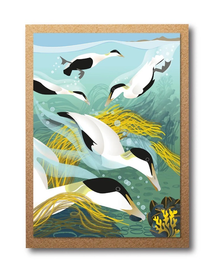 Diving Eider Ducks Greetings Card by Rachel Hudson shows several black and white birds diving amongst sea weed beneath the waves