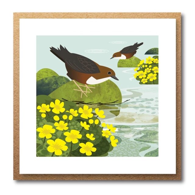 Dipper Greetings Card by Rachel Hudson shows a white and brown bird on a rock in a river with golden flowers in the foreground