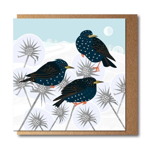 Starlings Greetings Card by Rachel Hudson shows three black coloured birds with speckles sitting on thistles with a pale blue sky behind