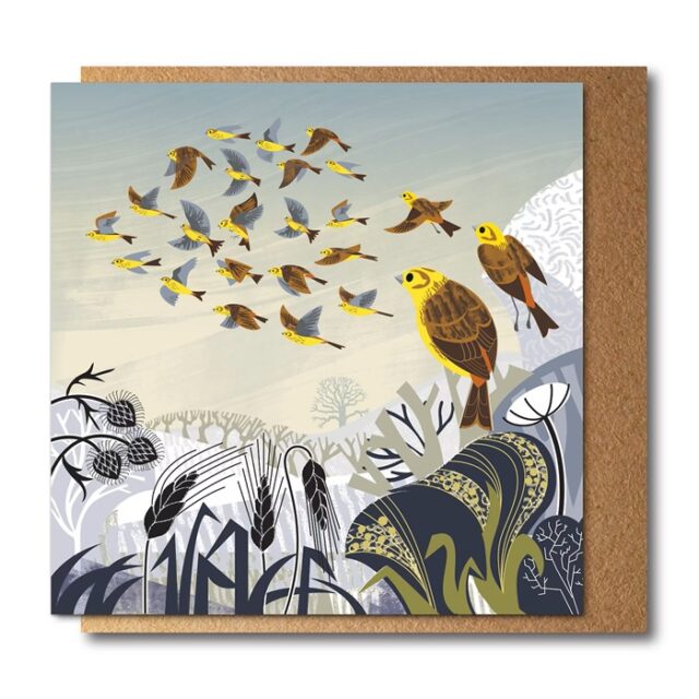 Yellowhammer Flock Greetings Card by Rachel Hudson shows two birds with brown bodies and yellow heads sitting on thistles with a further flock of birds in the sky